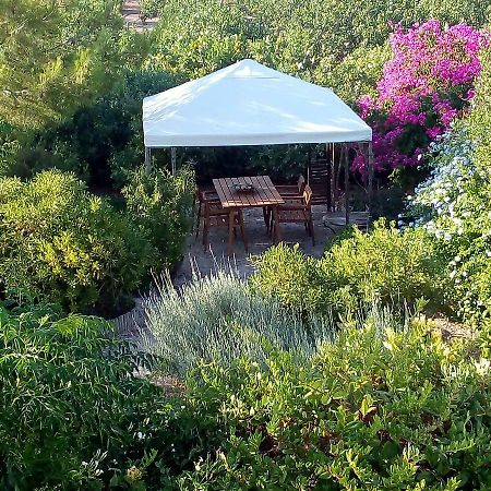 Aegina'S Oasis Villa Buitenkant foto