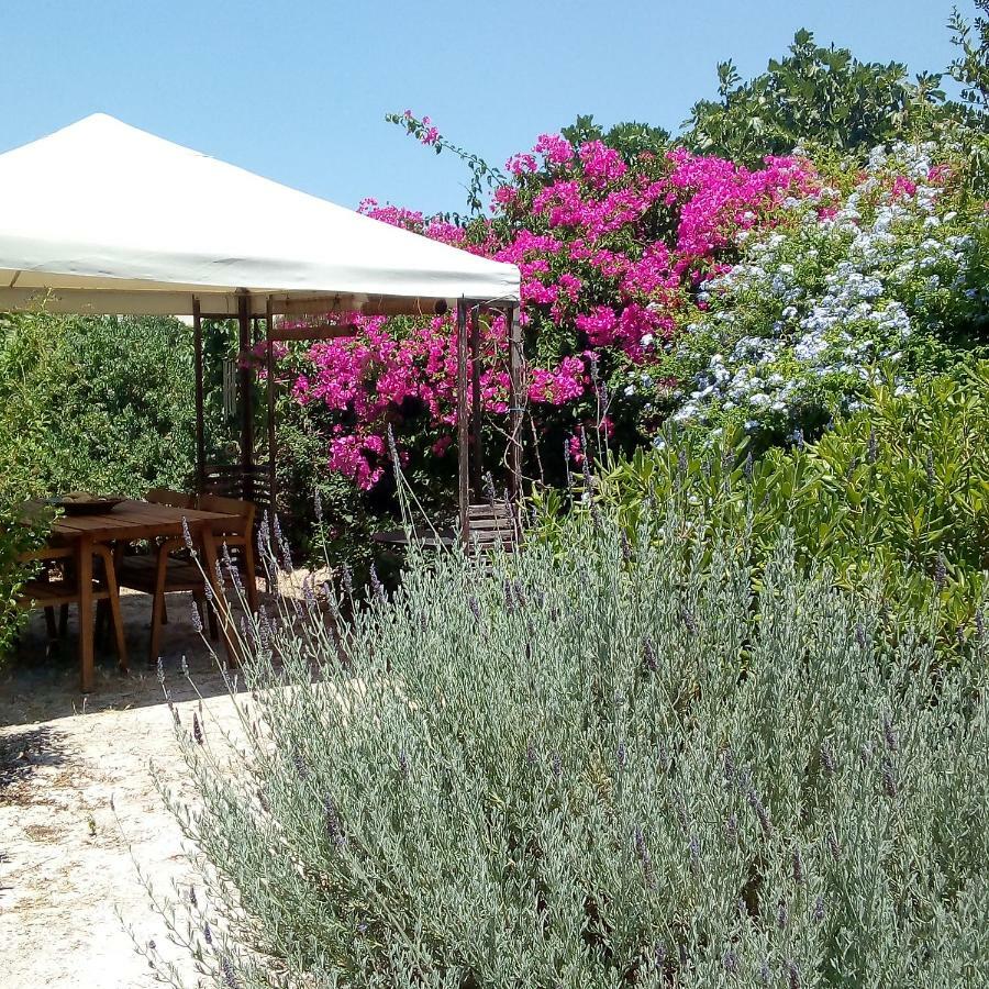 Aegina'S Oasis Villa Buitenkant foto
