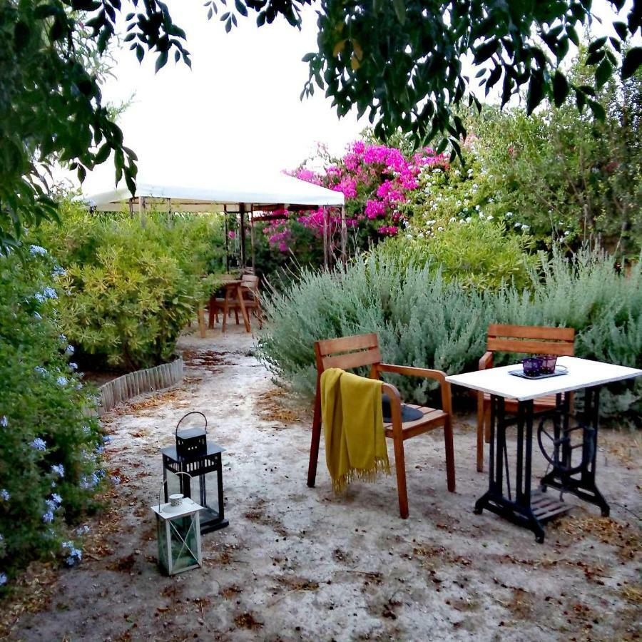 Aegina'S Oasis Villa Buitenkant foto