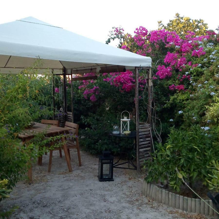 Aegina'S Oasis Villa Buitenkant foto
